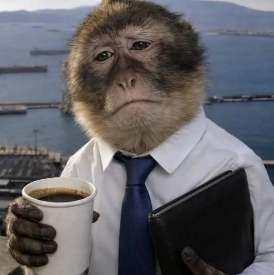 You meet a girl today 
 Her gas finished today 
No data tomorrow 

Ole go learn Forex trading 
Na source of income you need 
Not a man