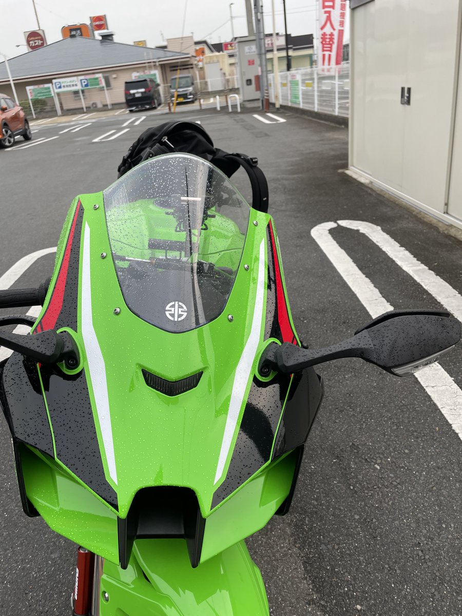 おはようございます。 今週もよろしくお願いします🐨