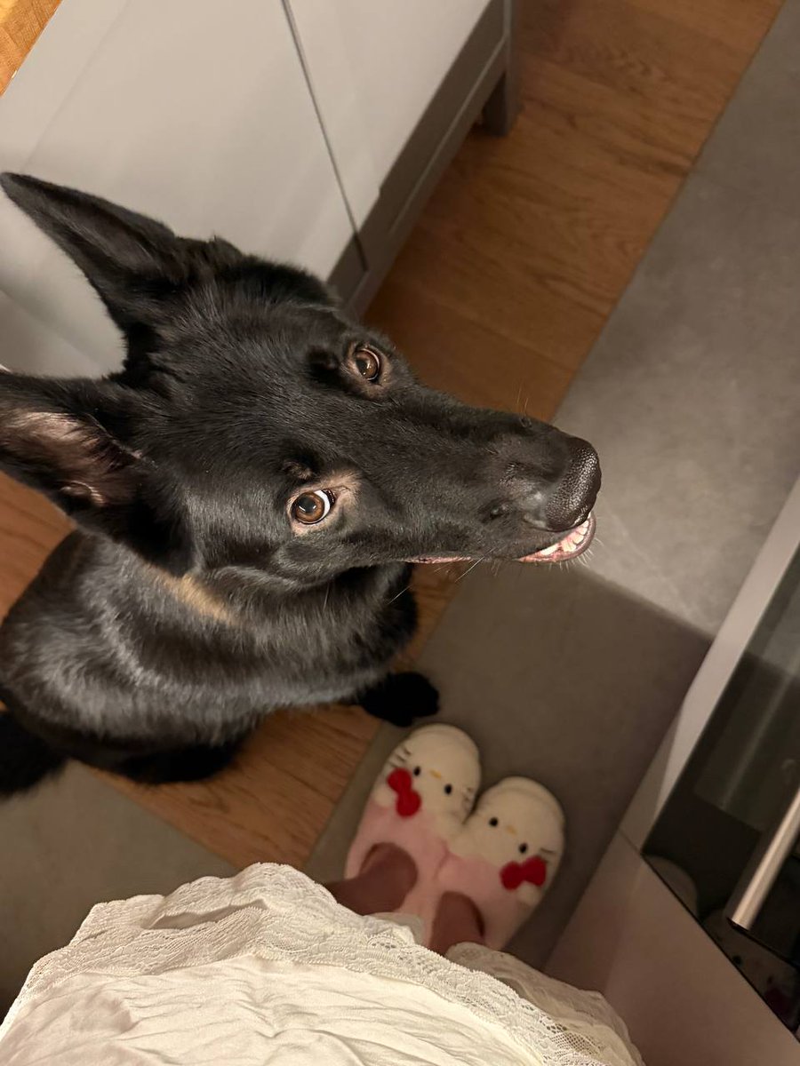 bon-bon ᰔ tweet media