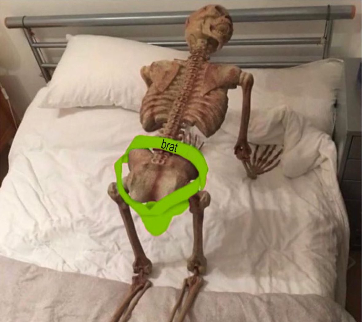 TRAXXTHEFURRY 🔜TBO tweet media