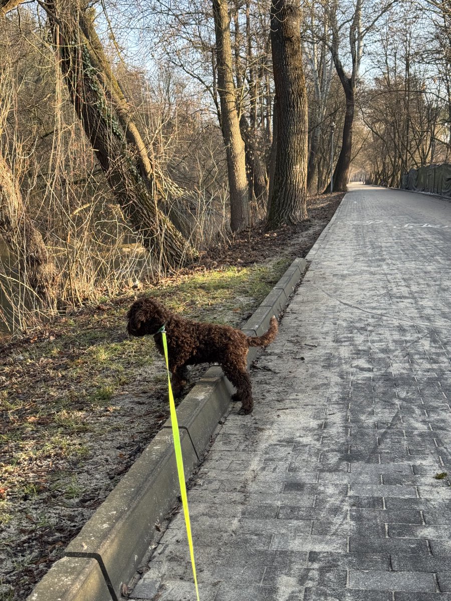 Juliusz Kornaszewski tweet media