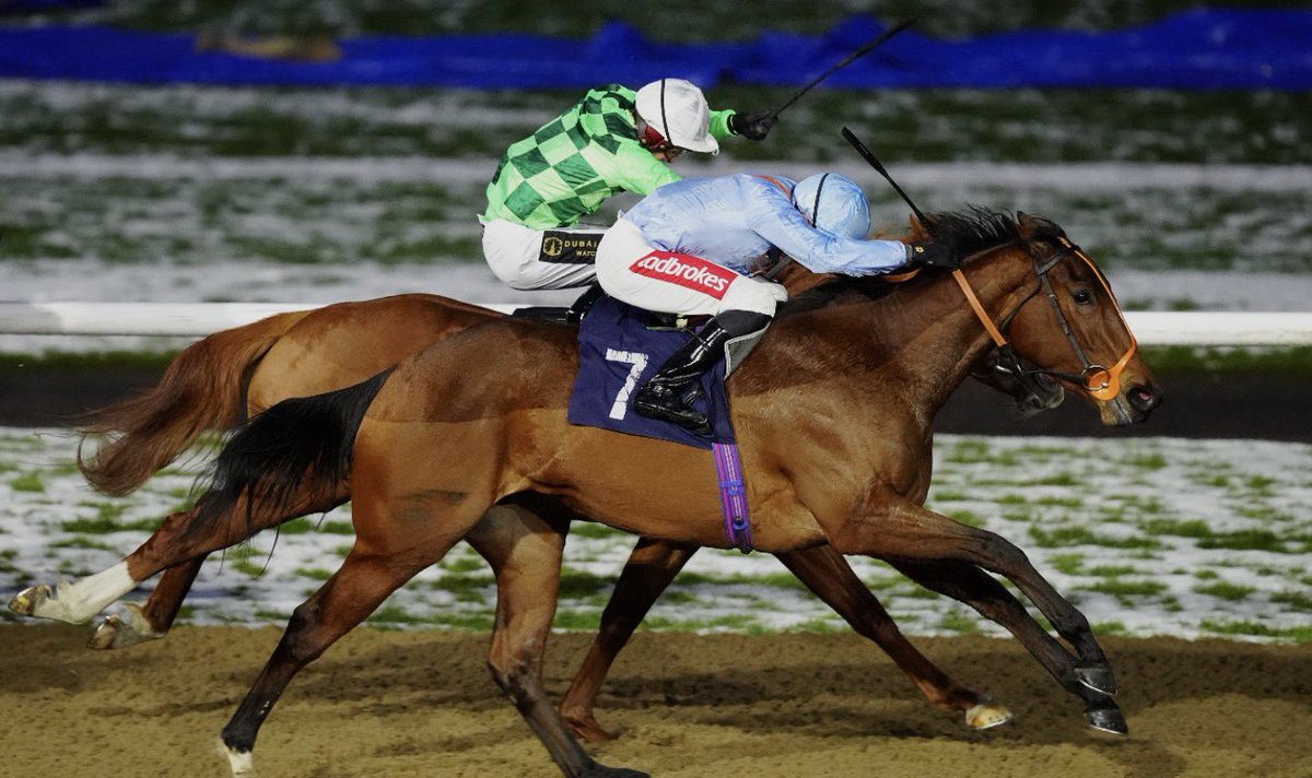 Richardlewisevans tweet media