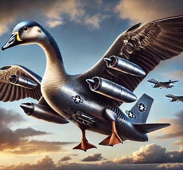 𝑬𝒕𝒉𝒂𝒏𝒏 ❤️🖤 tweet media