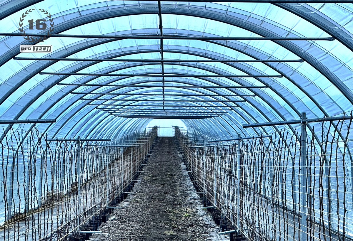 PROTECH FUTURE tweet media