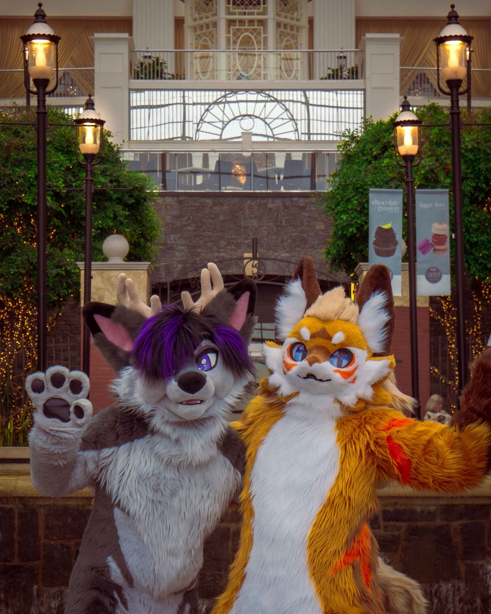 CAPITAL FURCON tweet media