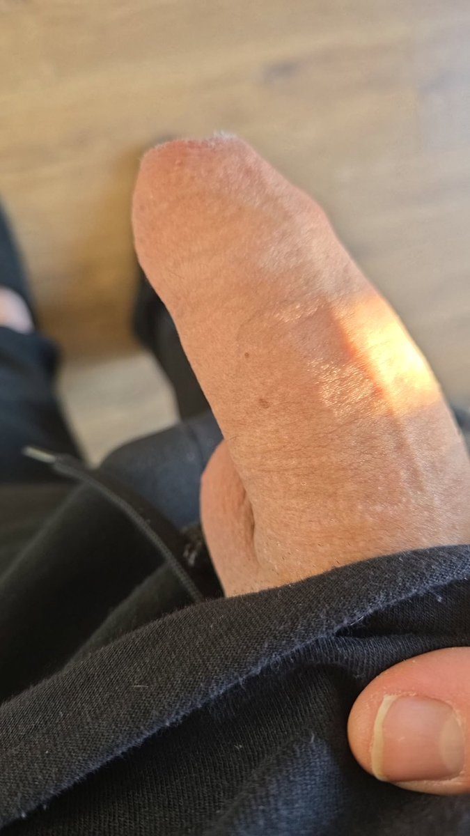dutchboy26 tweet media