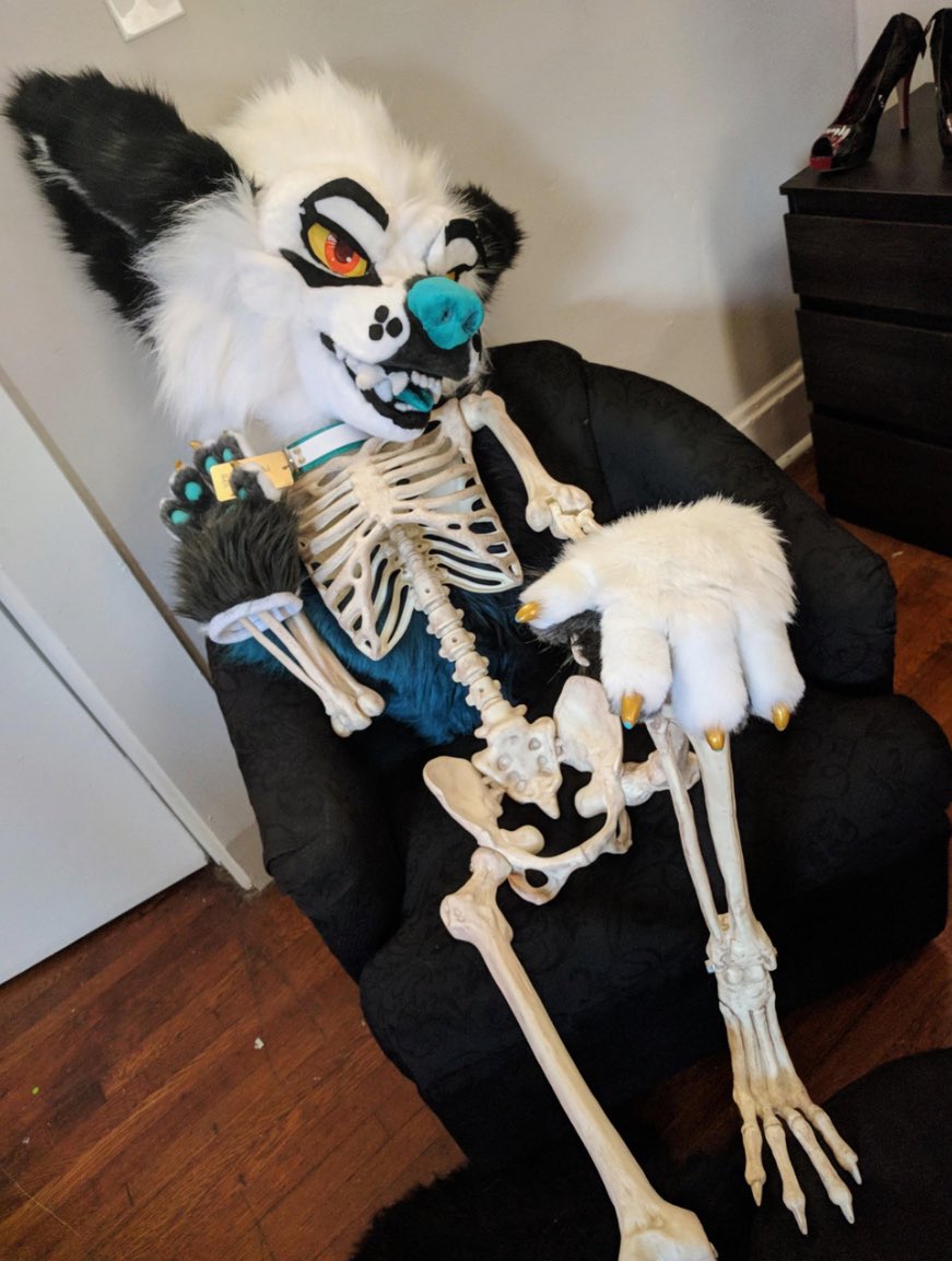 TRAXXTHEFURRY 🔜TBO tweet media