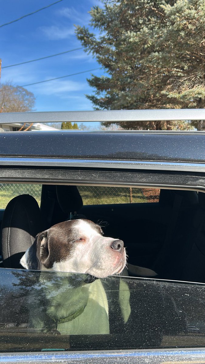 Visuals (@djackson10245) on Twitter photo 