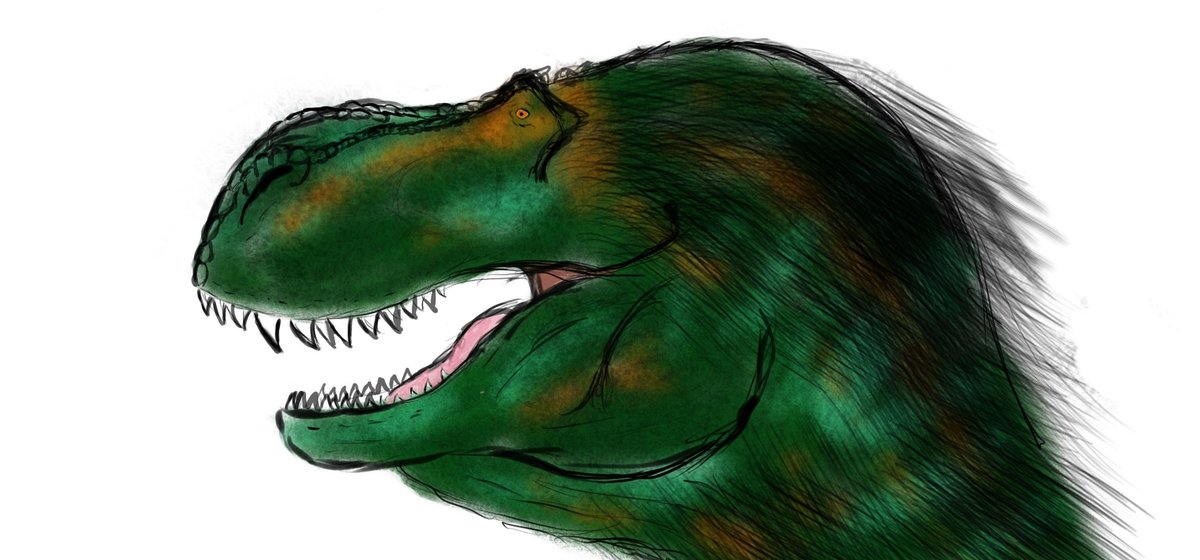 Je ne sait pas dessiner. Ça faisait longtemps que je n'avais pas essayé de dessiner de dinosaures, mais depuis qu’un nouveau Spinosaure ait été officiellement nommé, mon feed est pleins de dinos, et c’est tellement cool que j’ai voulu réessayer !