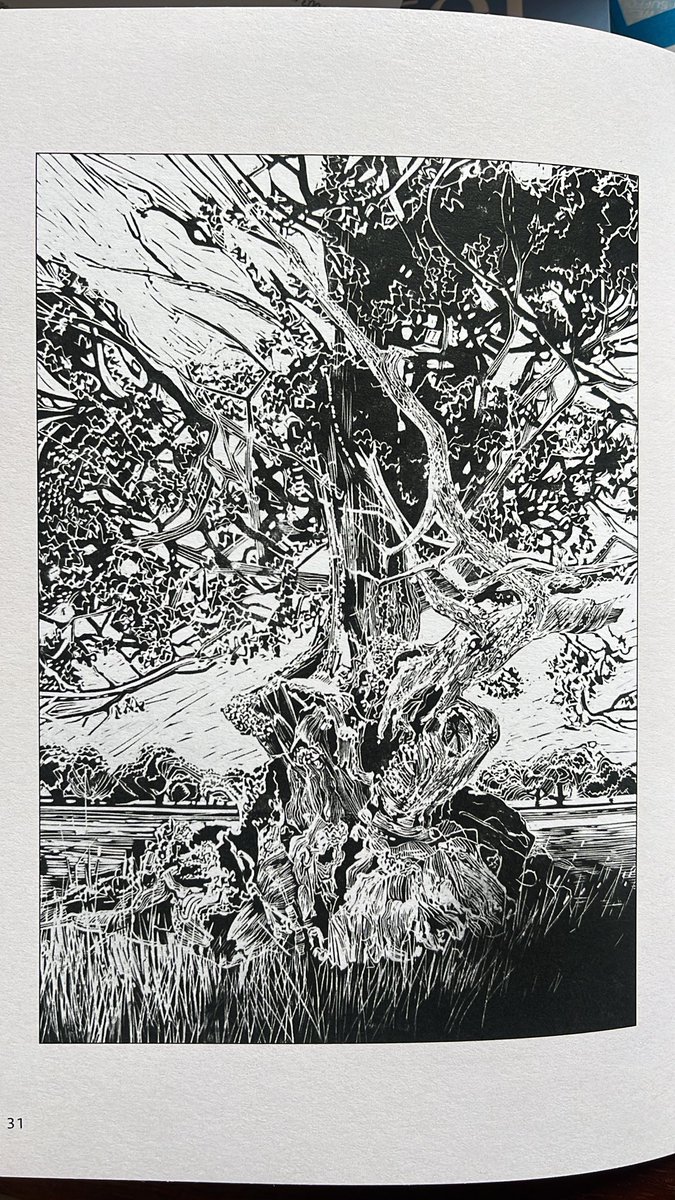 Art Branches tweet media