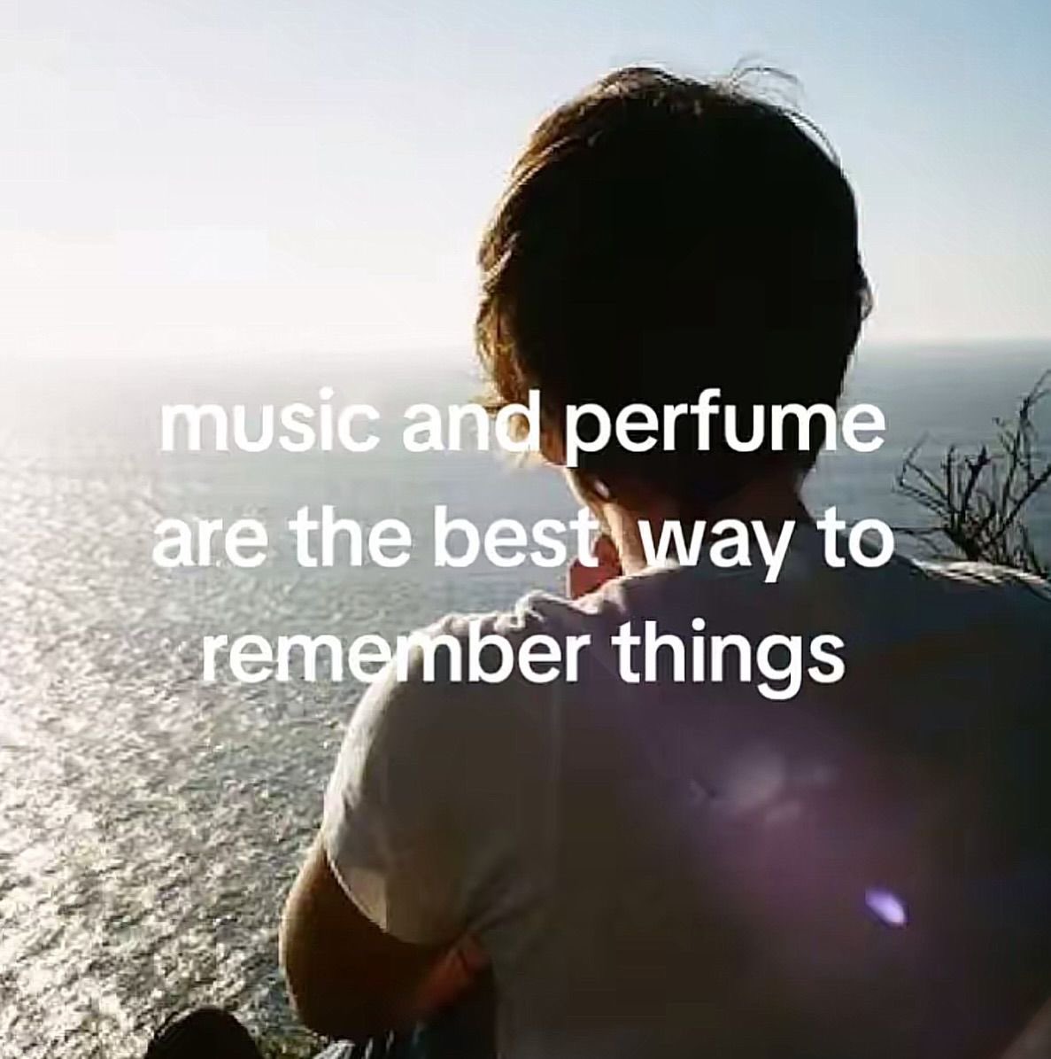 amara🩰 (@blueebarbie) on Twitter photo 