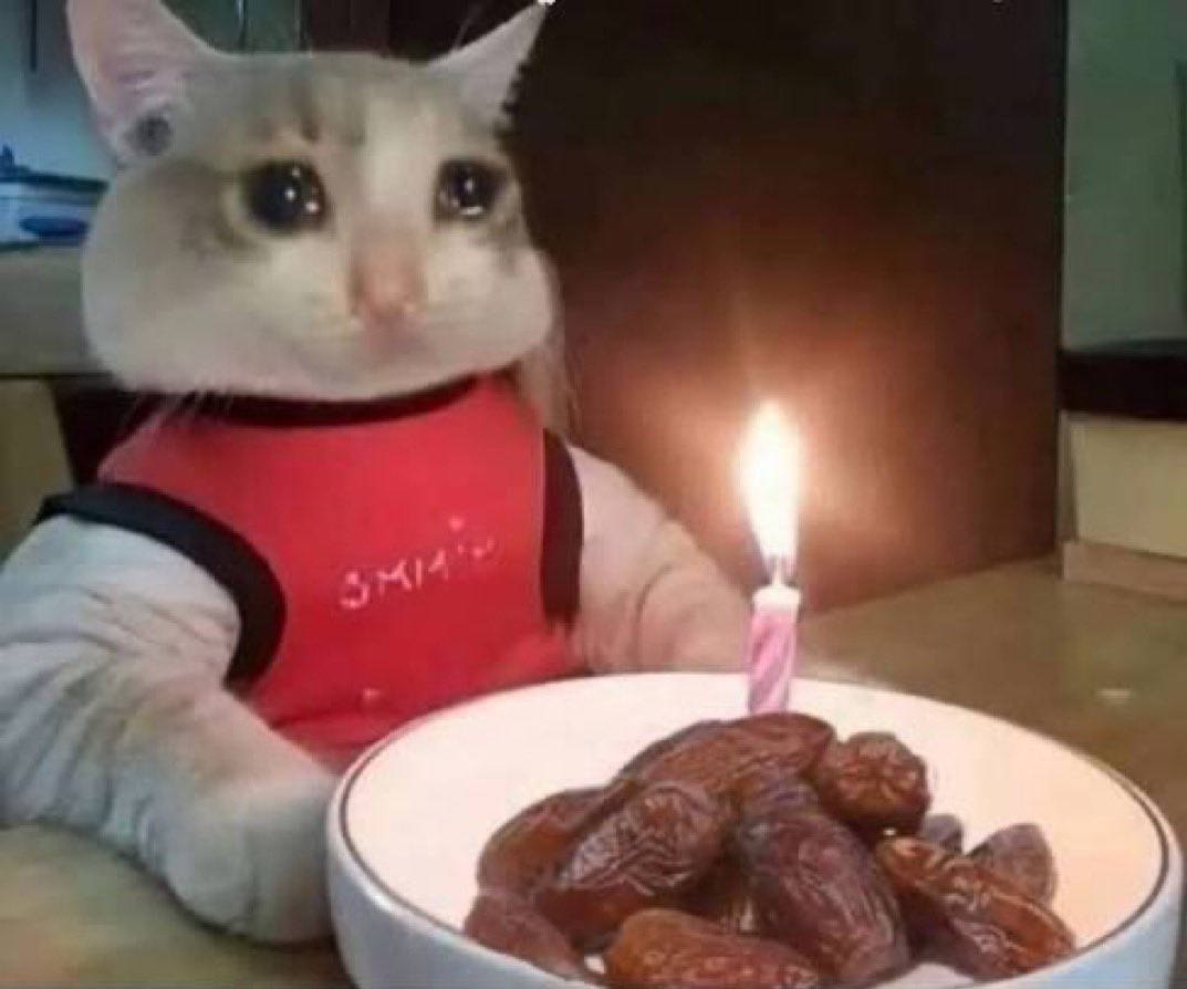 لاڤندر🪻 tweet media