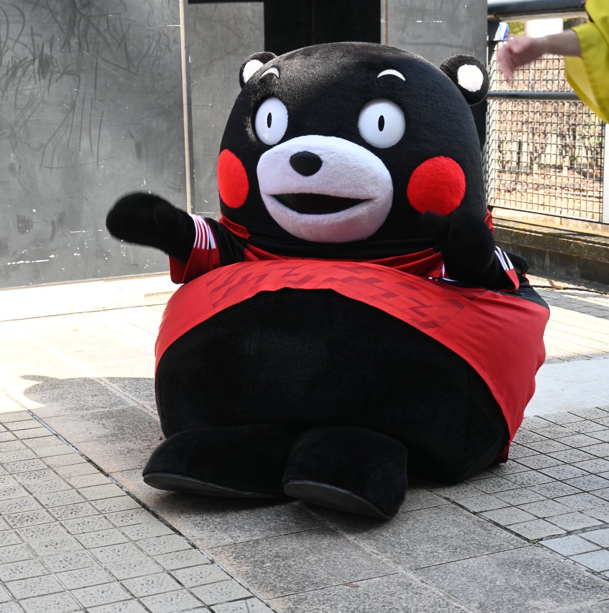 Post by Masashi Taniguchi on X: おはくまです。