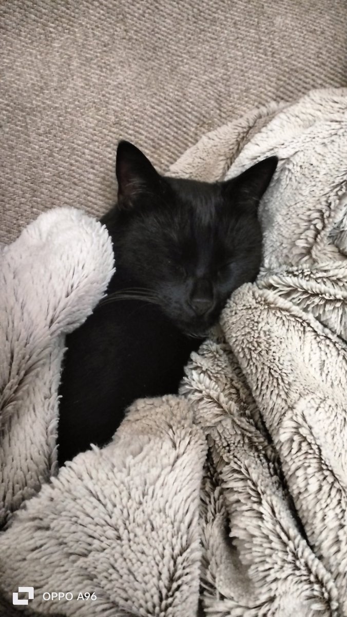 #CiòCheContraddistingue