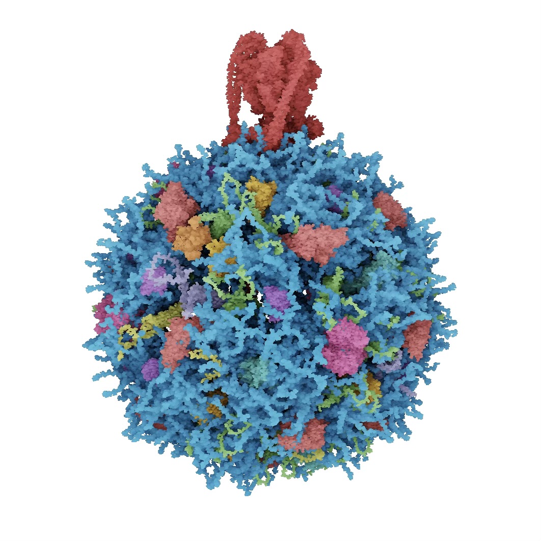 Tim Davison ᯅ tweet media