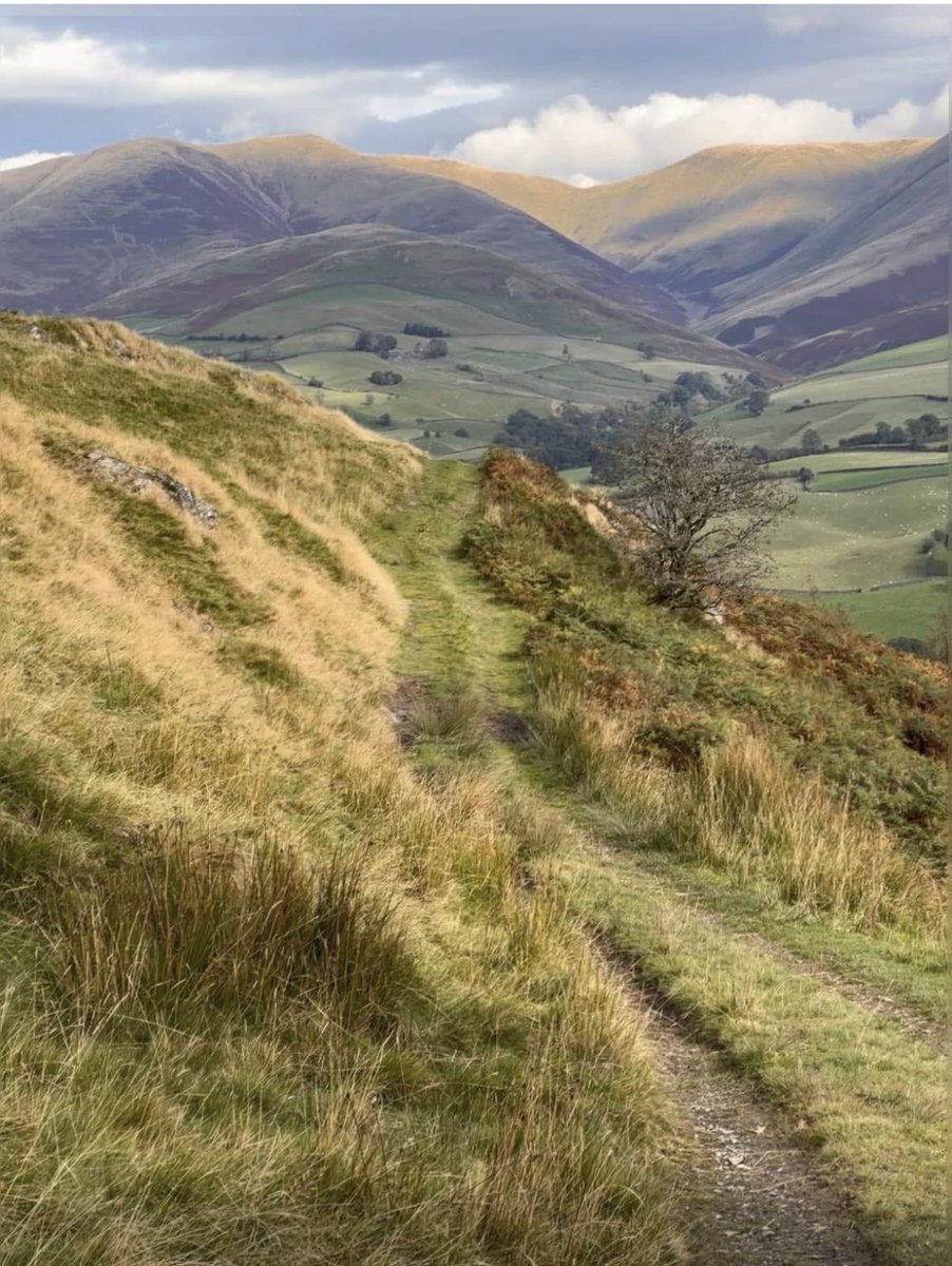 Alison O’Neill ~ Shepherdess tweet media
