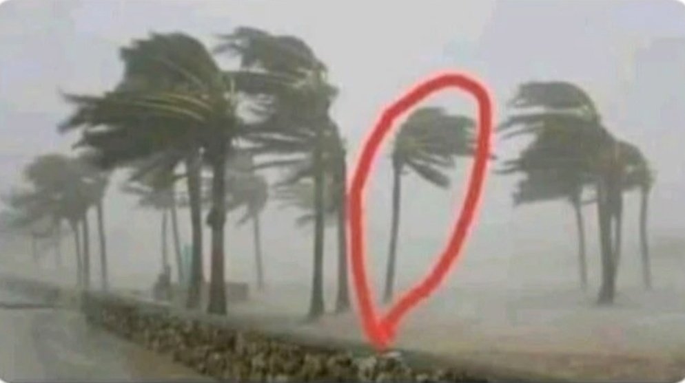 você é teimoso?

eu: