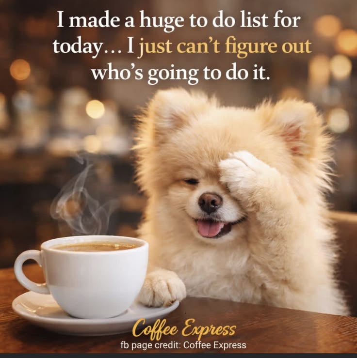 Debbie J. 🌜✨🔮✨🌛 tweet media