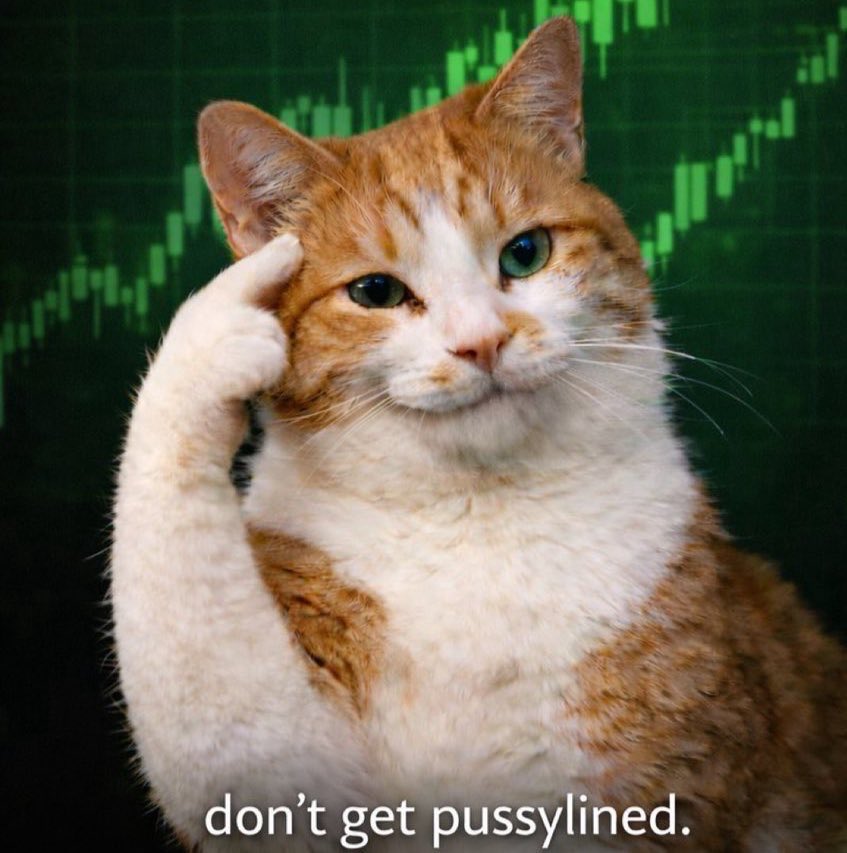 <a href="/Bancrypto__/">Ban</a> $chiefpussy <a href="/chiefpussy_sol/">chiefpussy</a>