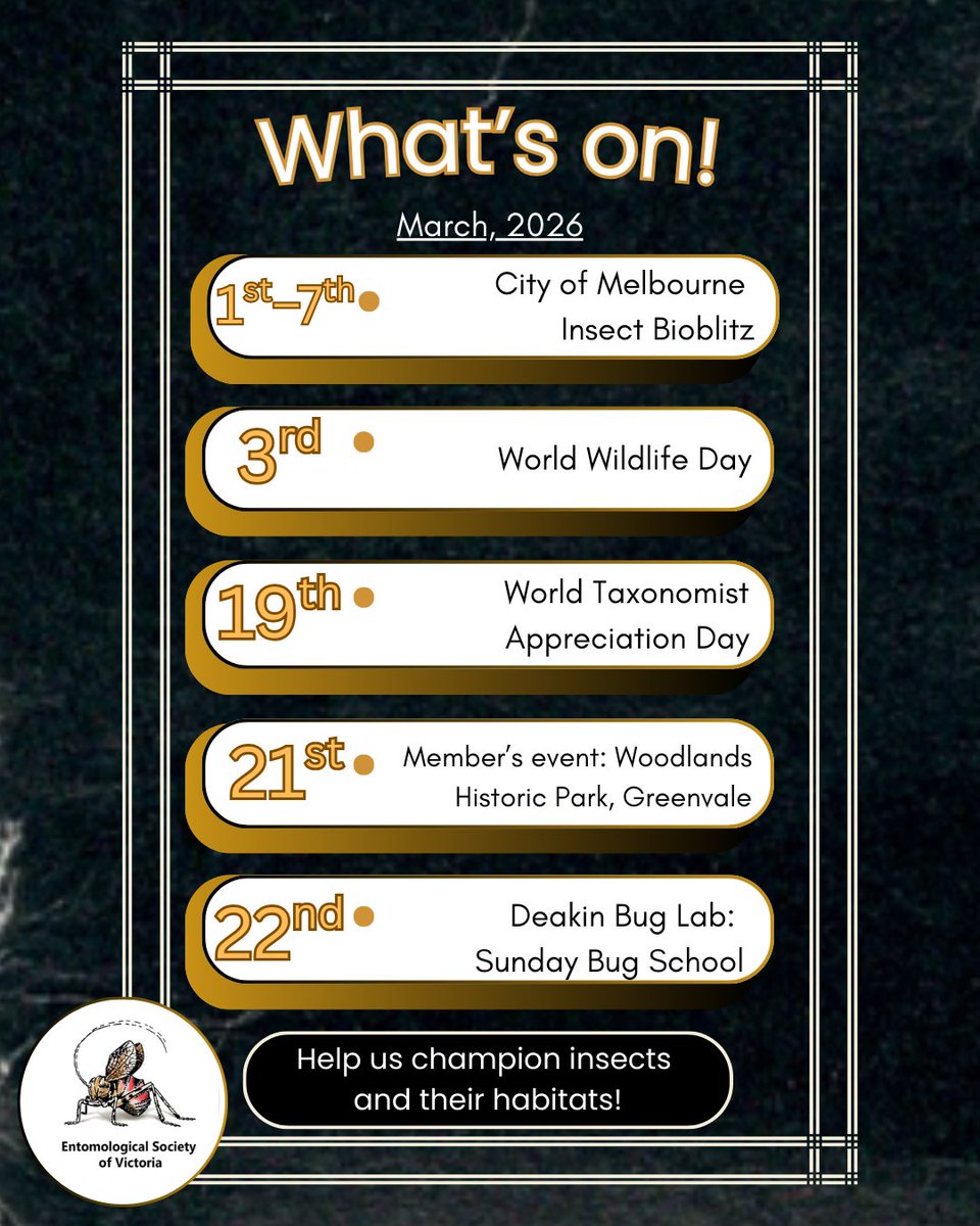 Entomological Society of Victoria 🐛🐜🦟🐞🕷️🦗 tweet media