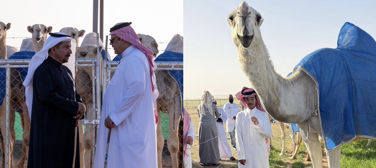 أخبار آل سعود KSA tweet media