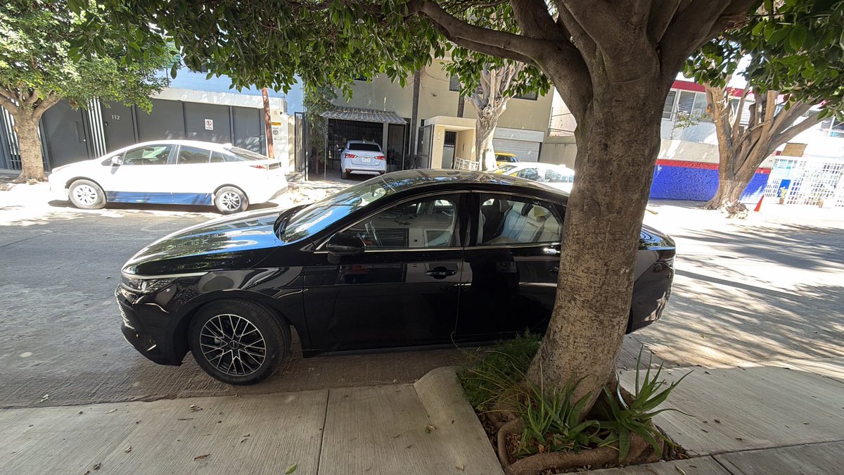 Tania Gómez tweet media