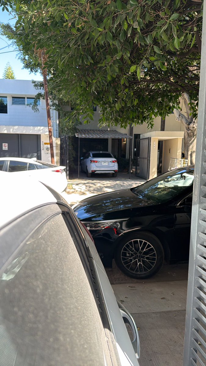 Tania Gómez tweet media