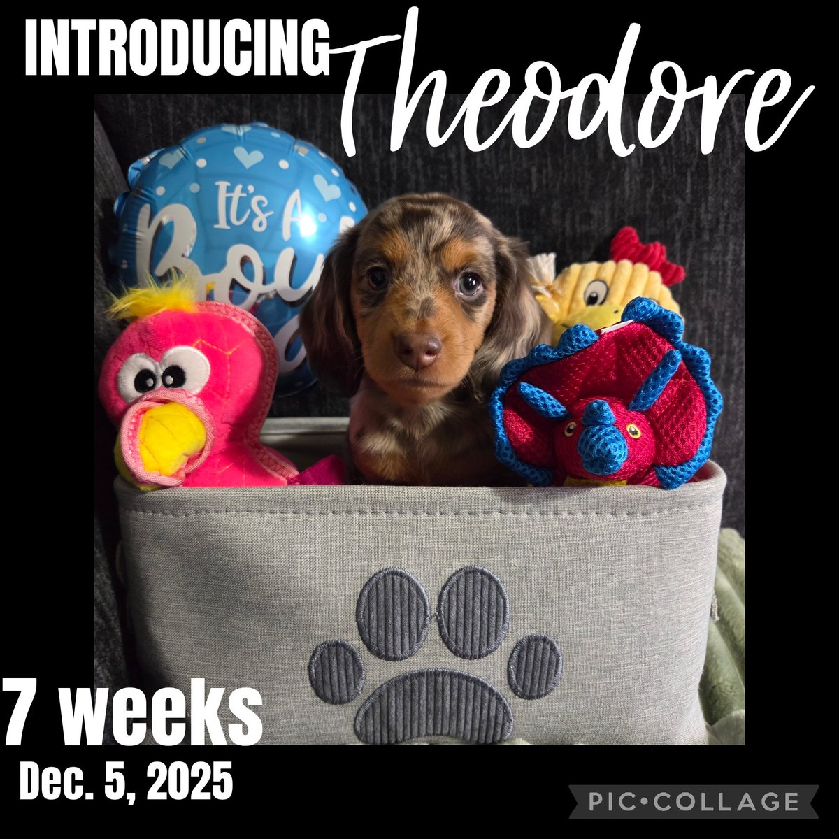 Kate Wilson tweet media