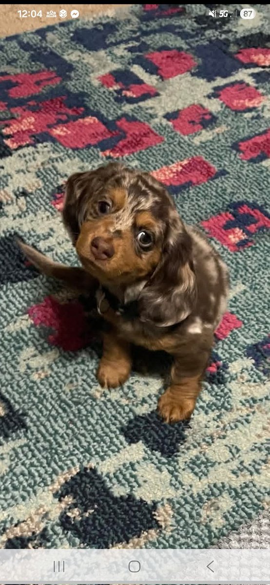 Kate Wilson tweet media