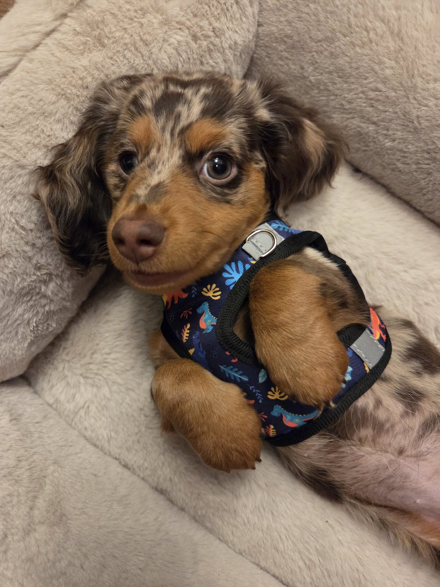 Kate Wilson tweet media