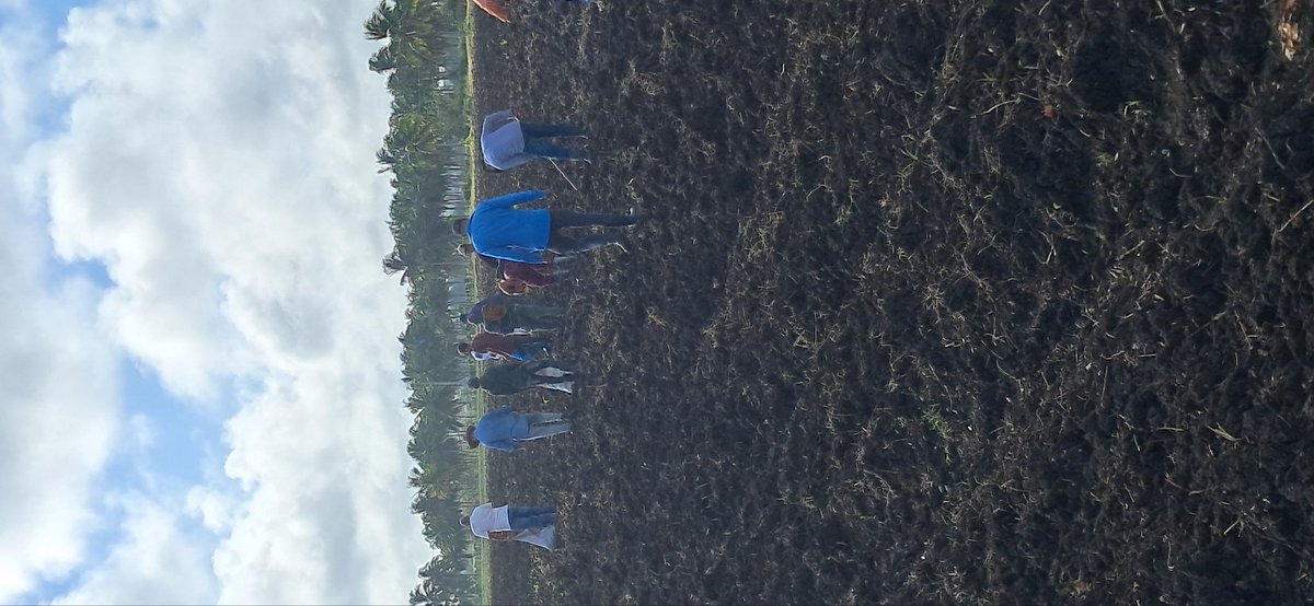 Dixami Rodríguez Gómez tweet media