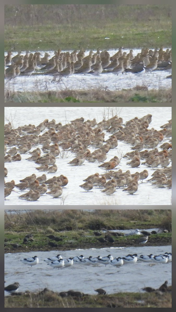 A few other shots from #Marshide today with <a href="/DaveyManMcG/">DaveyManMcG</a>