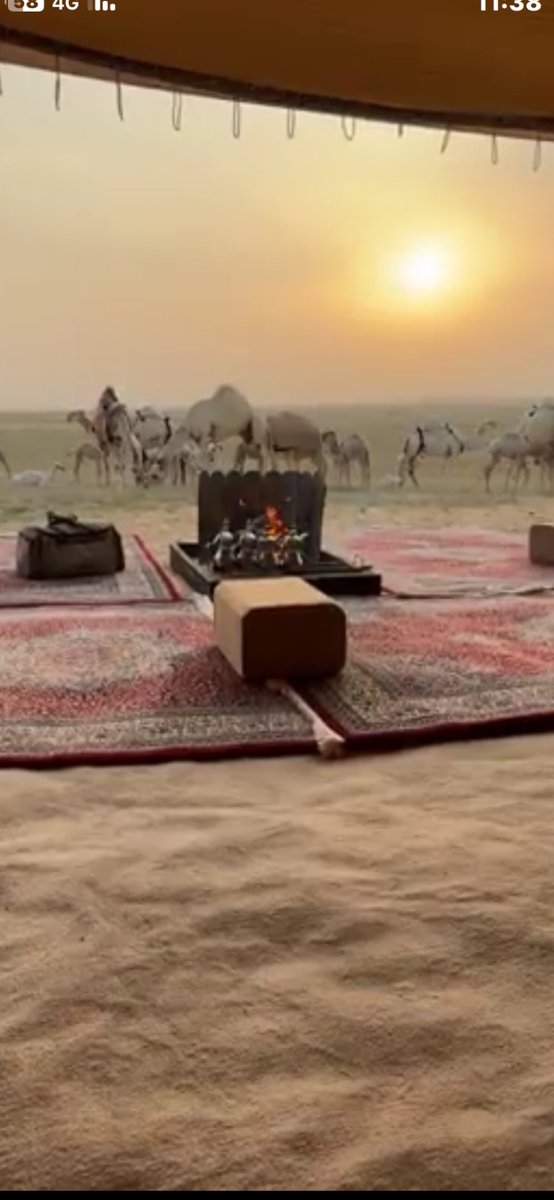 مع الضحى والوضح والضيحه
وضيحه المغربيه مع المغربيه

#مقرن_الخراصي