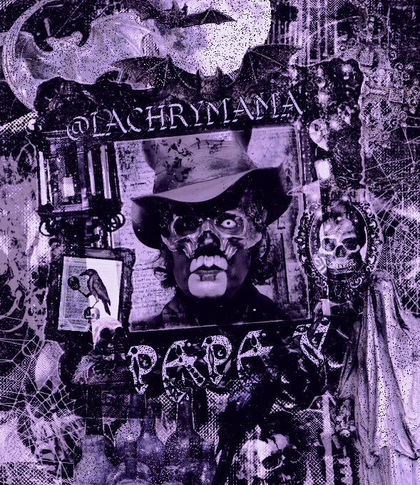 ‎‎ ‎ ‎ ‎ ‎𝓟. ‎ ‎ ‎🦇 ݁˖ ♱⃓ tweet media