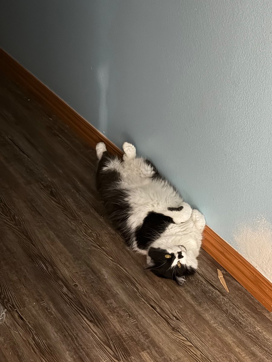 Came out of kids room from tucking them in bed and this is what’s greeting me.😆