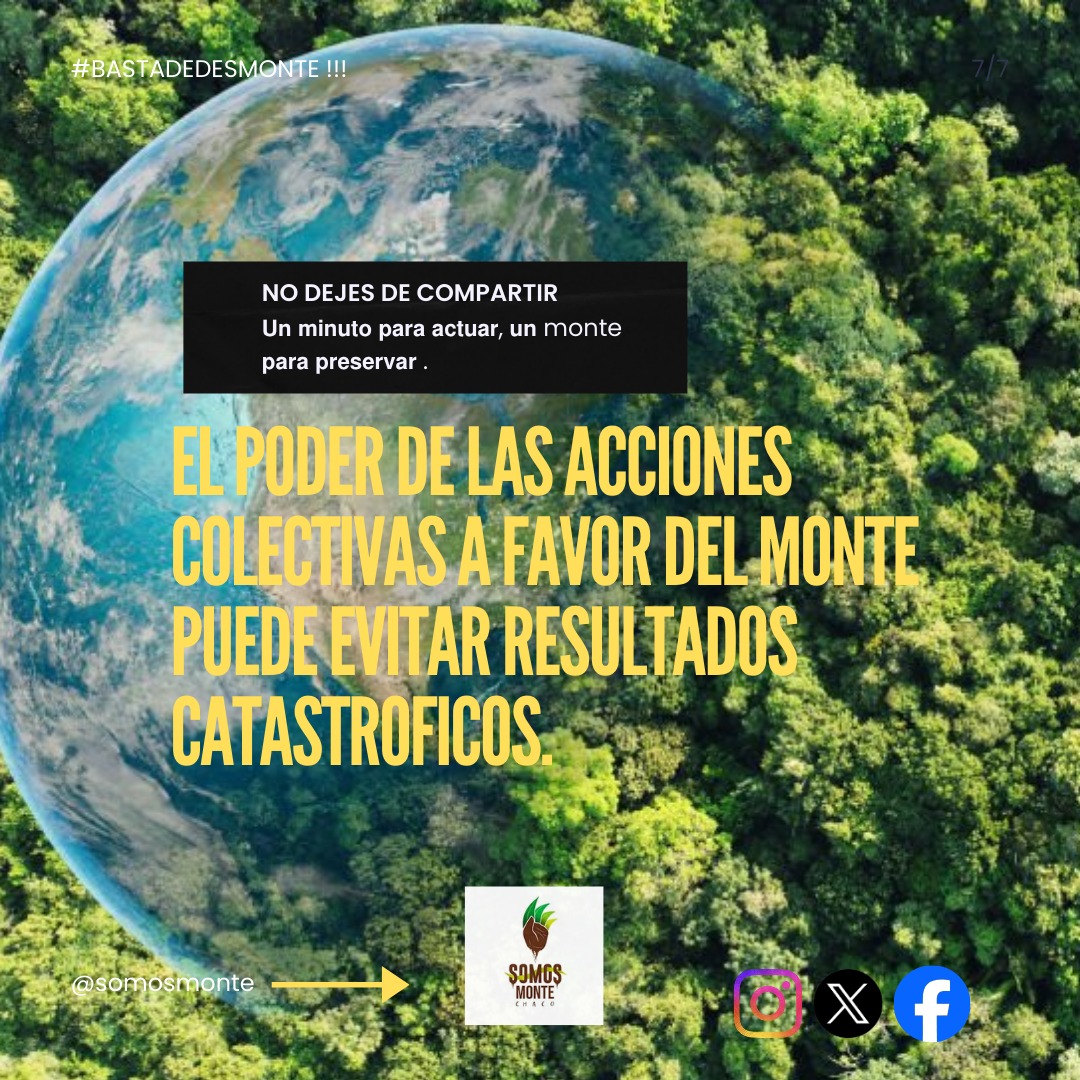 Somos MONTE Chaco tweet media