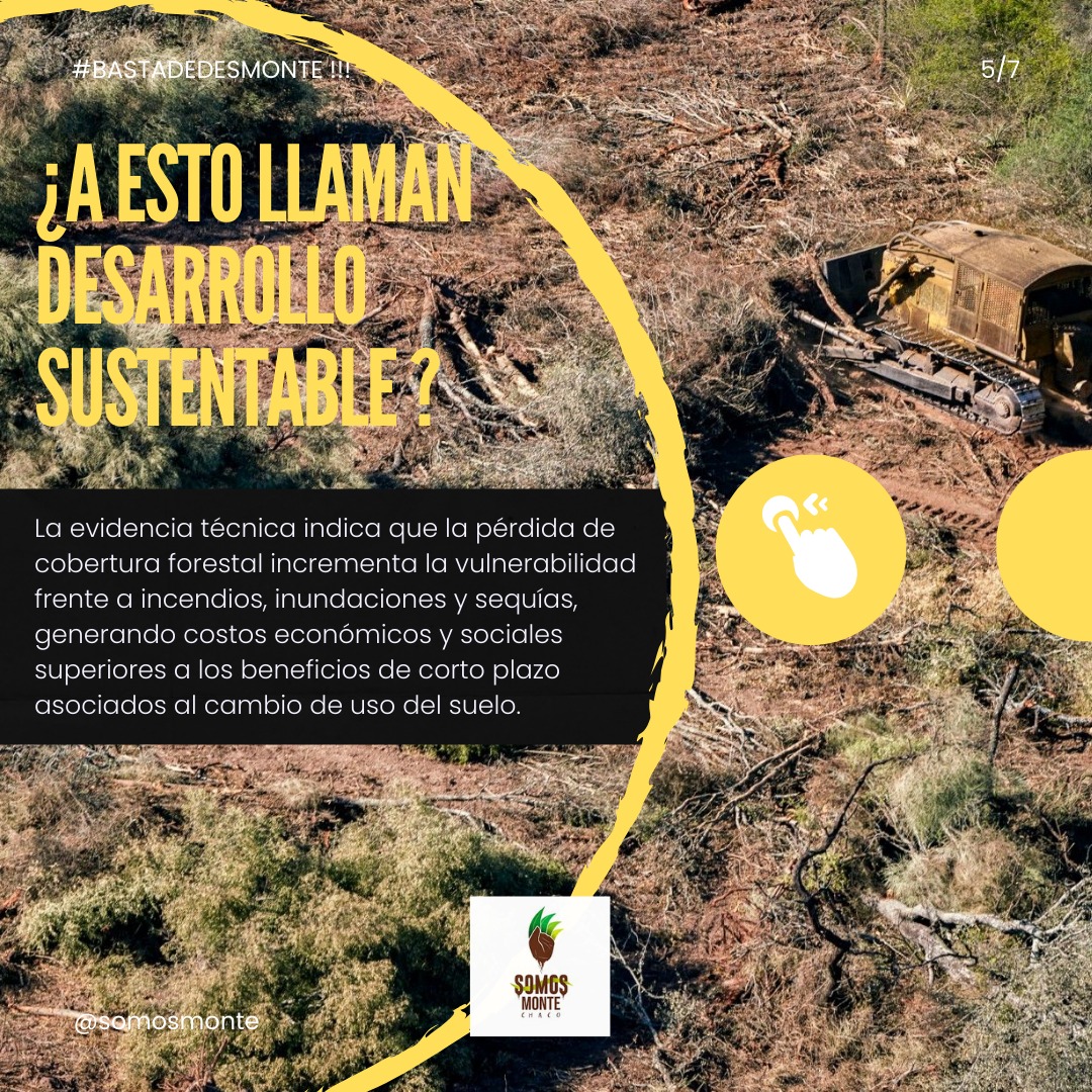 Somos MONTE Chaco tweet media