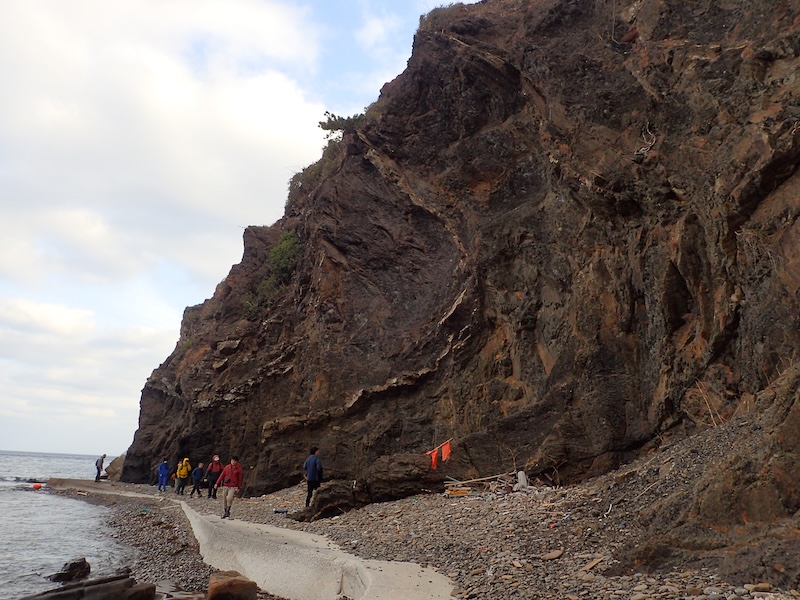 中条 武司 tweet media