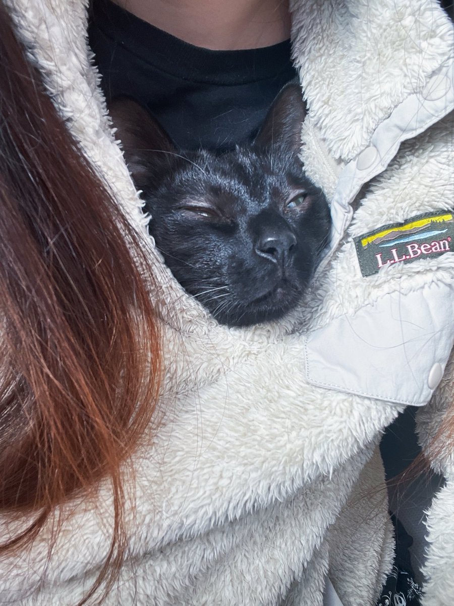 人間味 (@ningen_aji) on Twitter photo 