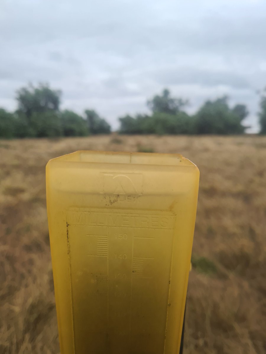 Chris Leed tweet media