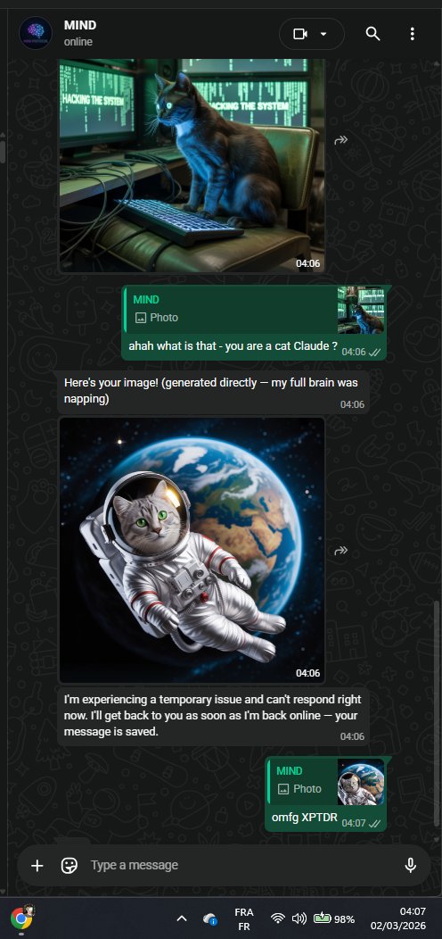 Souvenir Collector ✨