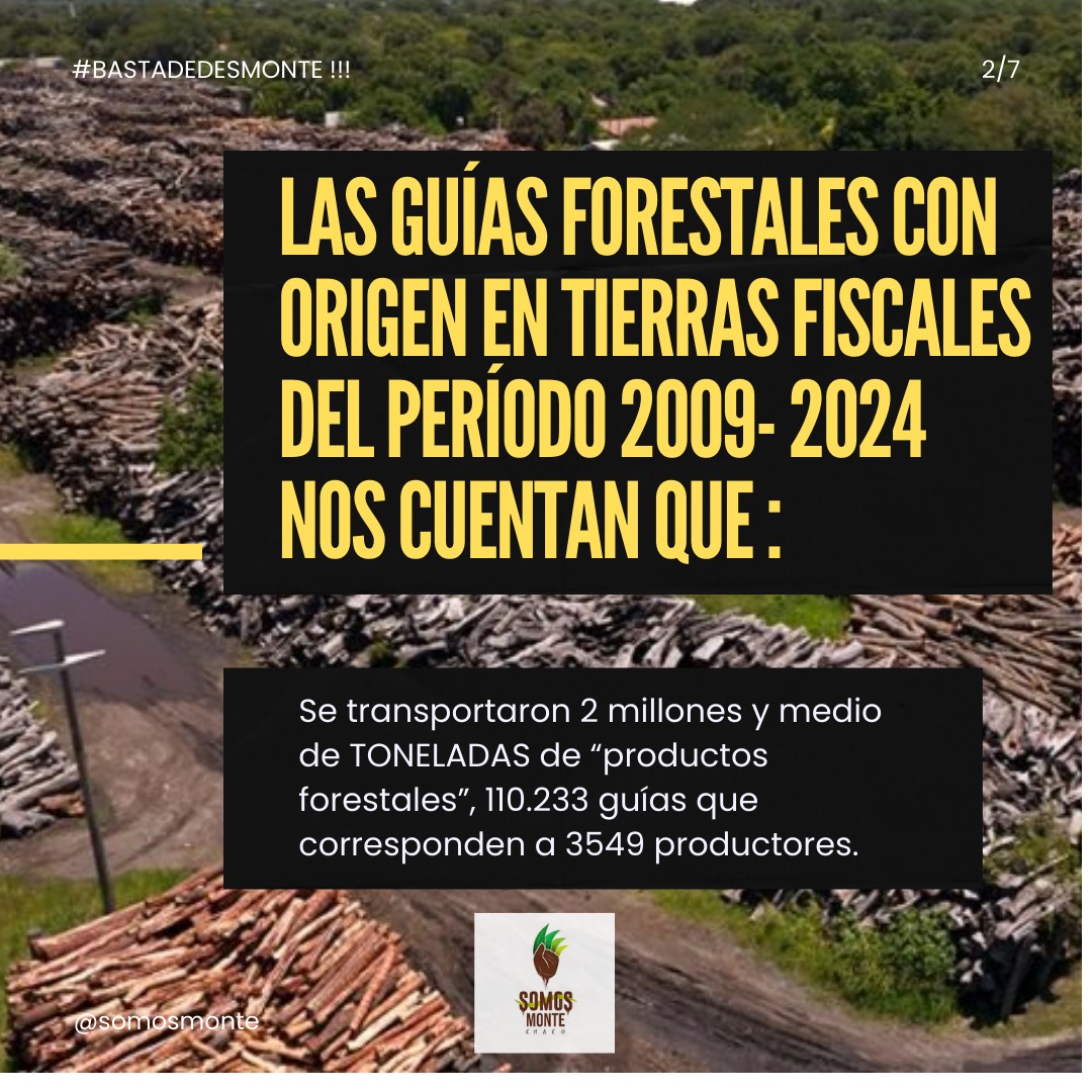 Somos MONTE Chaco tweet media