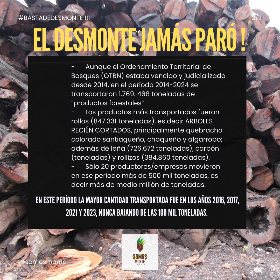 Somos MONTE Chaco tweet media