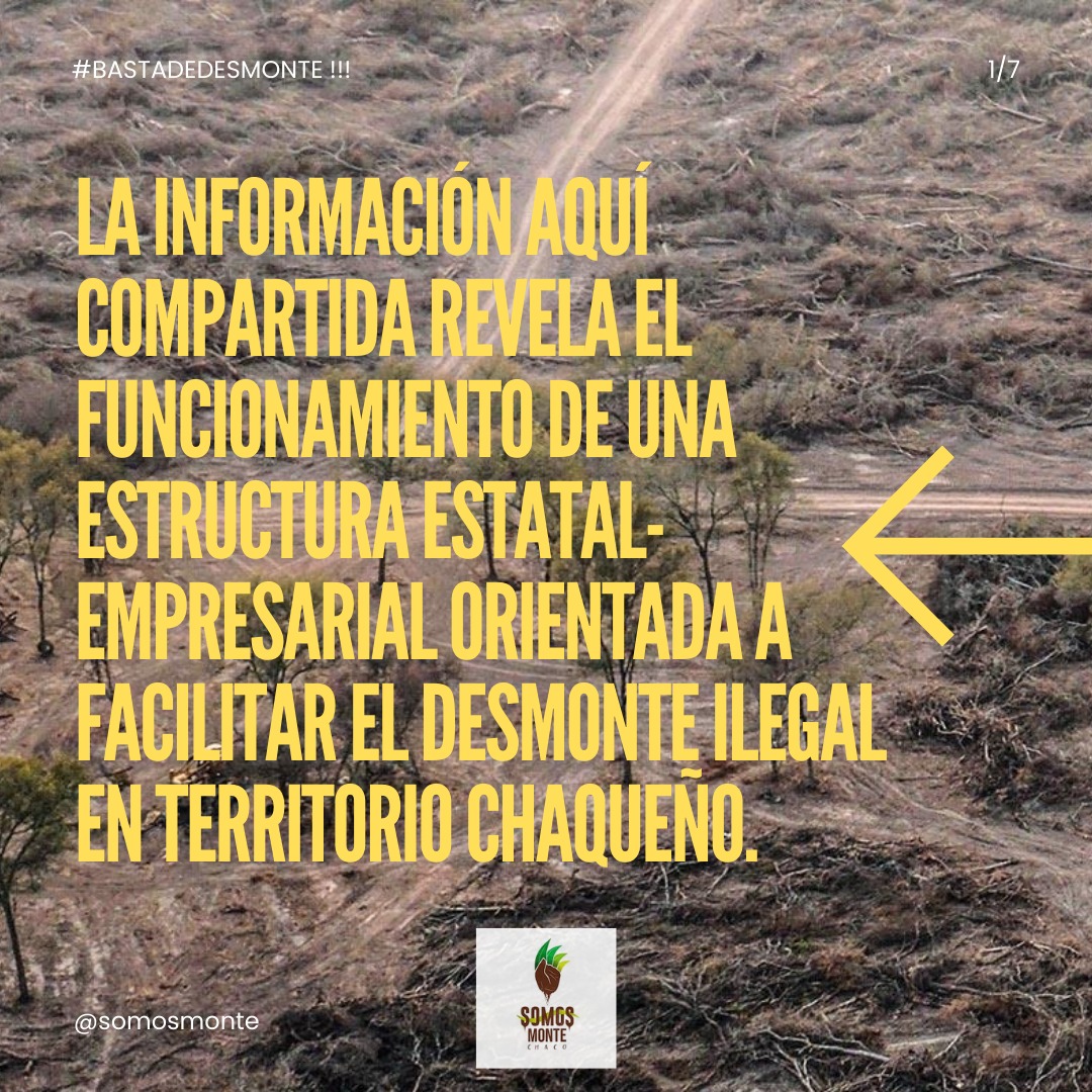 Somos MONTE Chaco tweet media