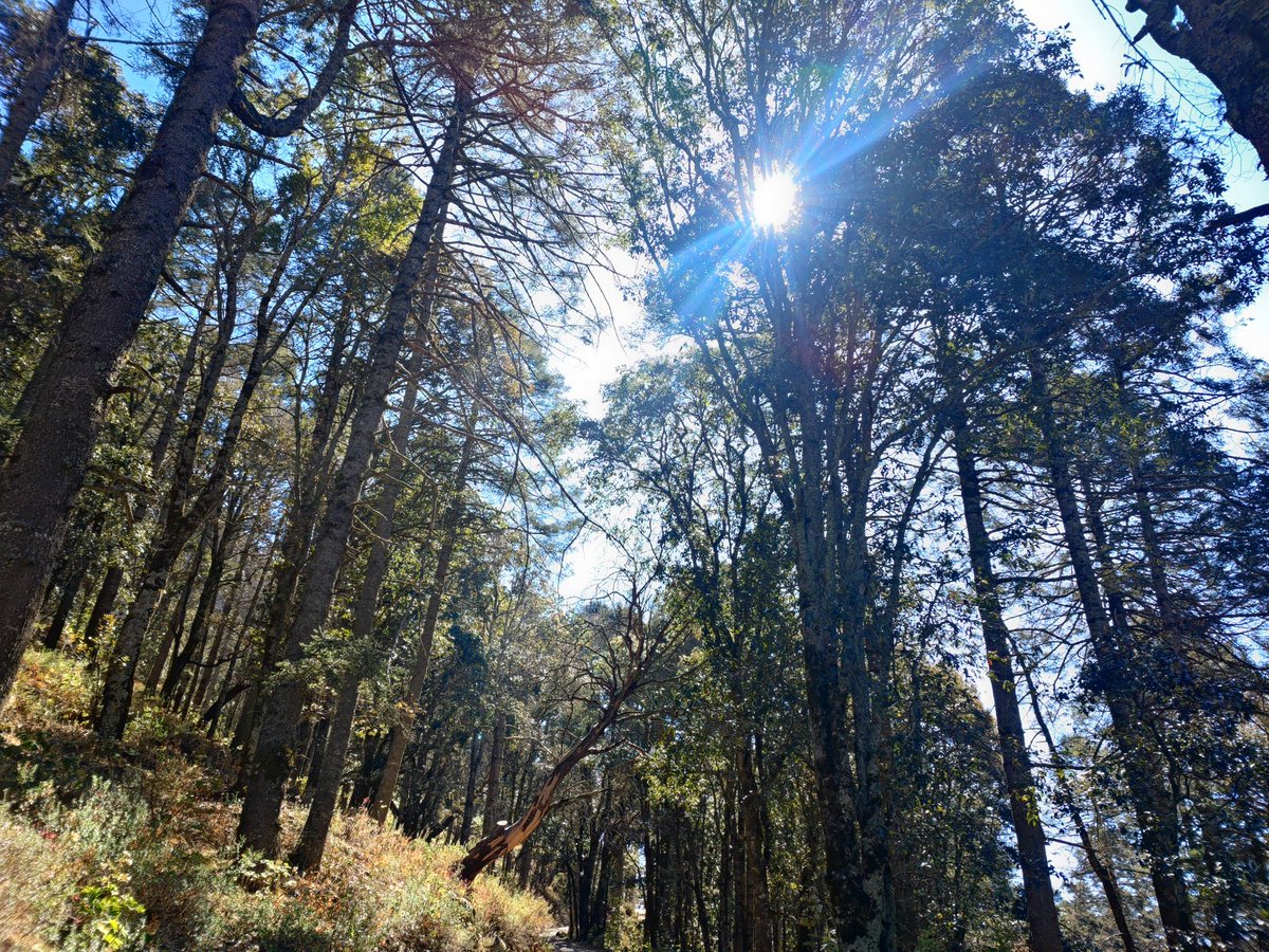 Cerro del Zamorano.
Tres horas de ascenso que valieron la pena 🤍