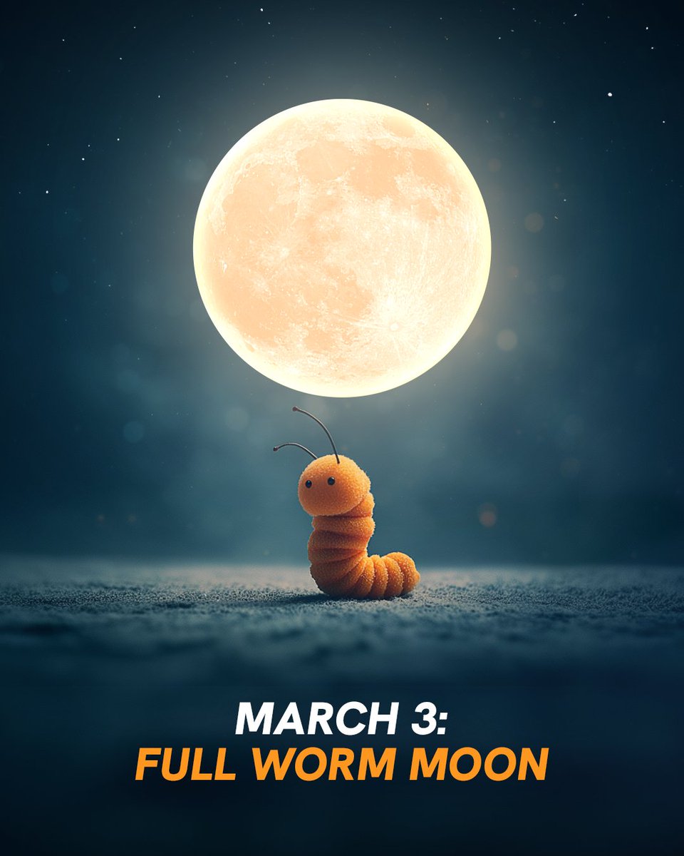 Star Walk tweet media