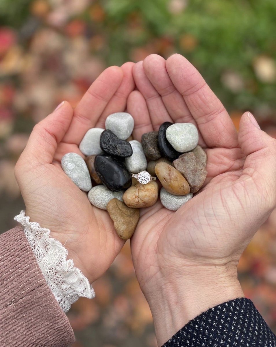 Bucas Louchard (& Natrick Pash) tweet media