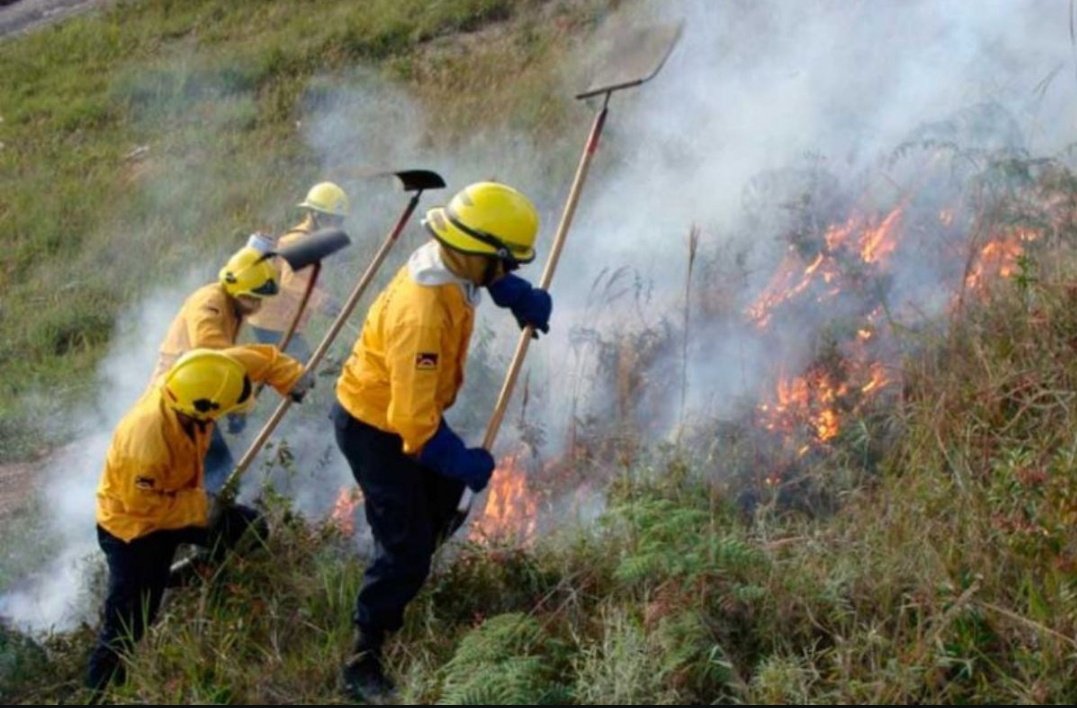 Natts058's tweet photo. 🔥 Venezuela activa el Sistema Nacional de Gestión de Riesgo para combatir incendios forestales en parques nacionales. El ministro Alfred Nazareth Ñáñez reporta control de varios incendios, aunque uno persiste en la Autopista Regional del Centro. Colaboración entre Bomberos, Protección Civil y voluntarios es clave. #Venezuela #GestiónDeRiesgo