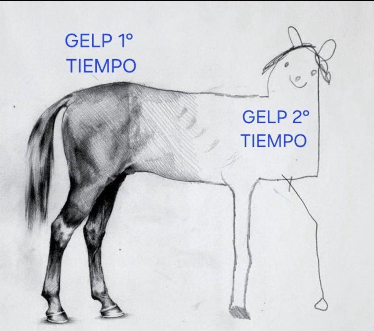 #GELP