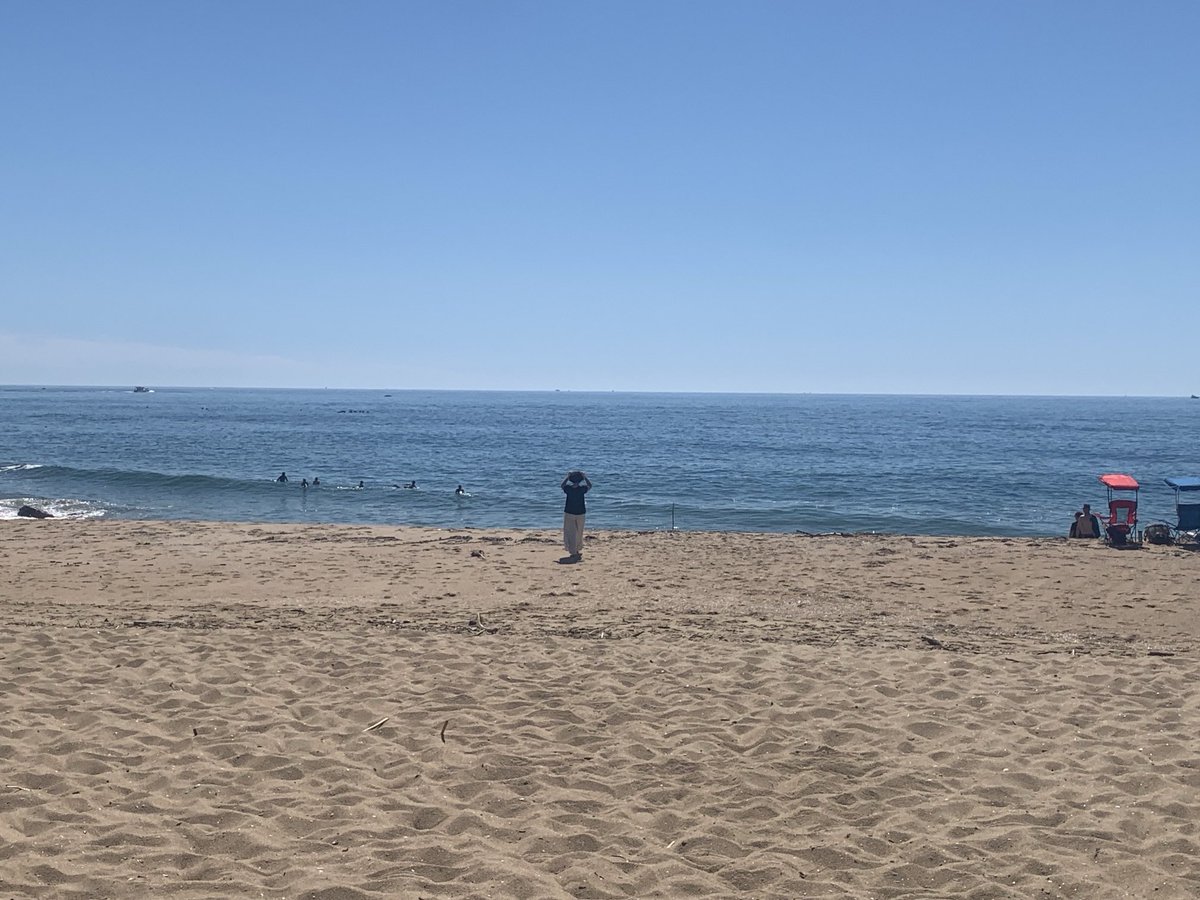 Gad Saad tweet media